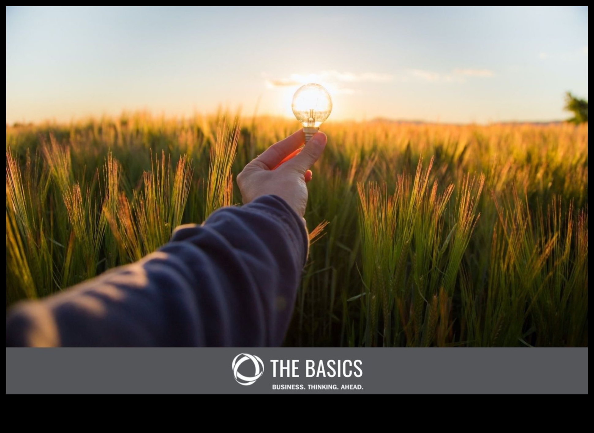 Eco-Wonders πώς οι βιώσιμες καινοτομίες αλλάζουν τον κόσμο 4 Eco-Wonders: Διαμόρφωση ιδεών σε βιώσιμες πραγματικότητες