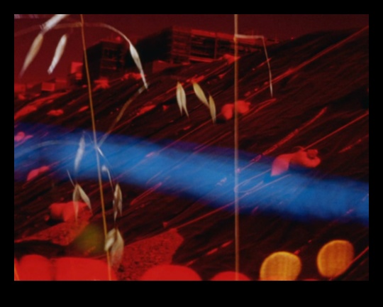 Μελωδικά Τοπία: Η Συμφωνία της Φύσης στη Μουσική