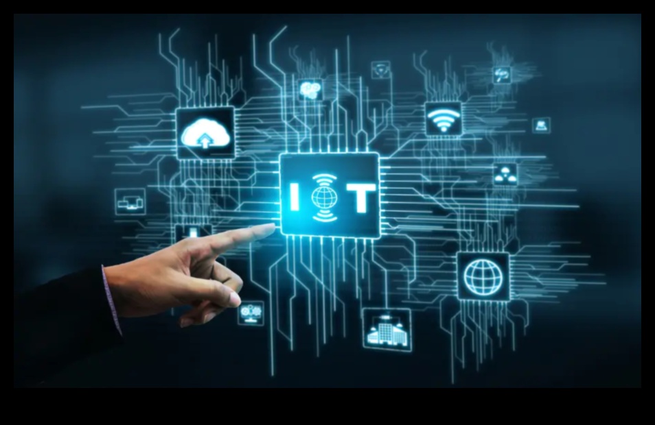 Dynamic Designs: Motion Graphics και Interactive IoT Solutions