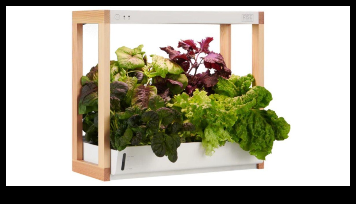 Green Guardian: Φιλικά προς το περιβάλλον δώρα και βιώσιμα προϊόντα για τον περιβαλλοντικά συνειδητοποιημένο άνθρωπο