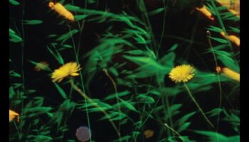 Μελωδικά Τοπία: Η Συμφωνία της Φύσης στη Μουσική