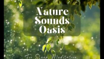 Soothing Soundscape: Musical Magic for Baby's Peace
