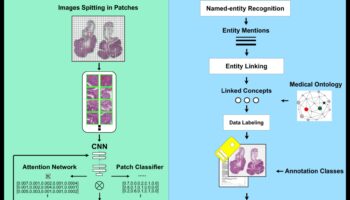 Unleashing Health Precision: The Digital Explorer's Toolkit in Design