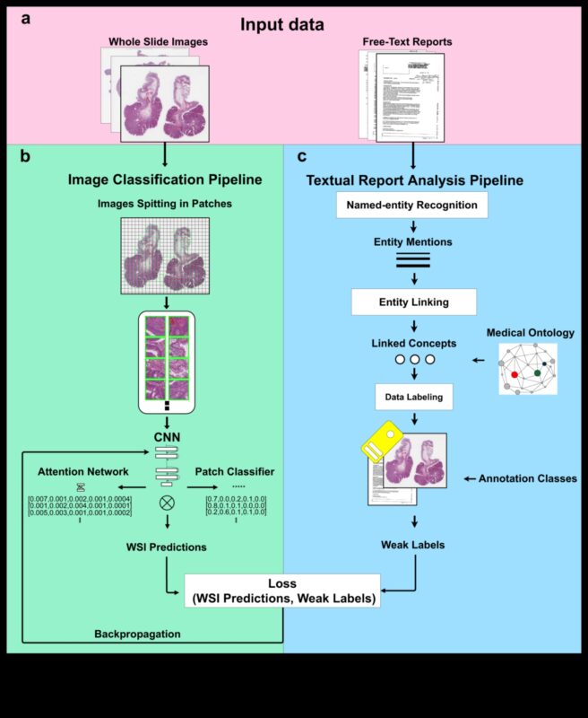 Unleashing Health Precision: The Digital Explorer's Toolkit in Design