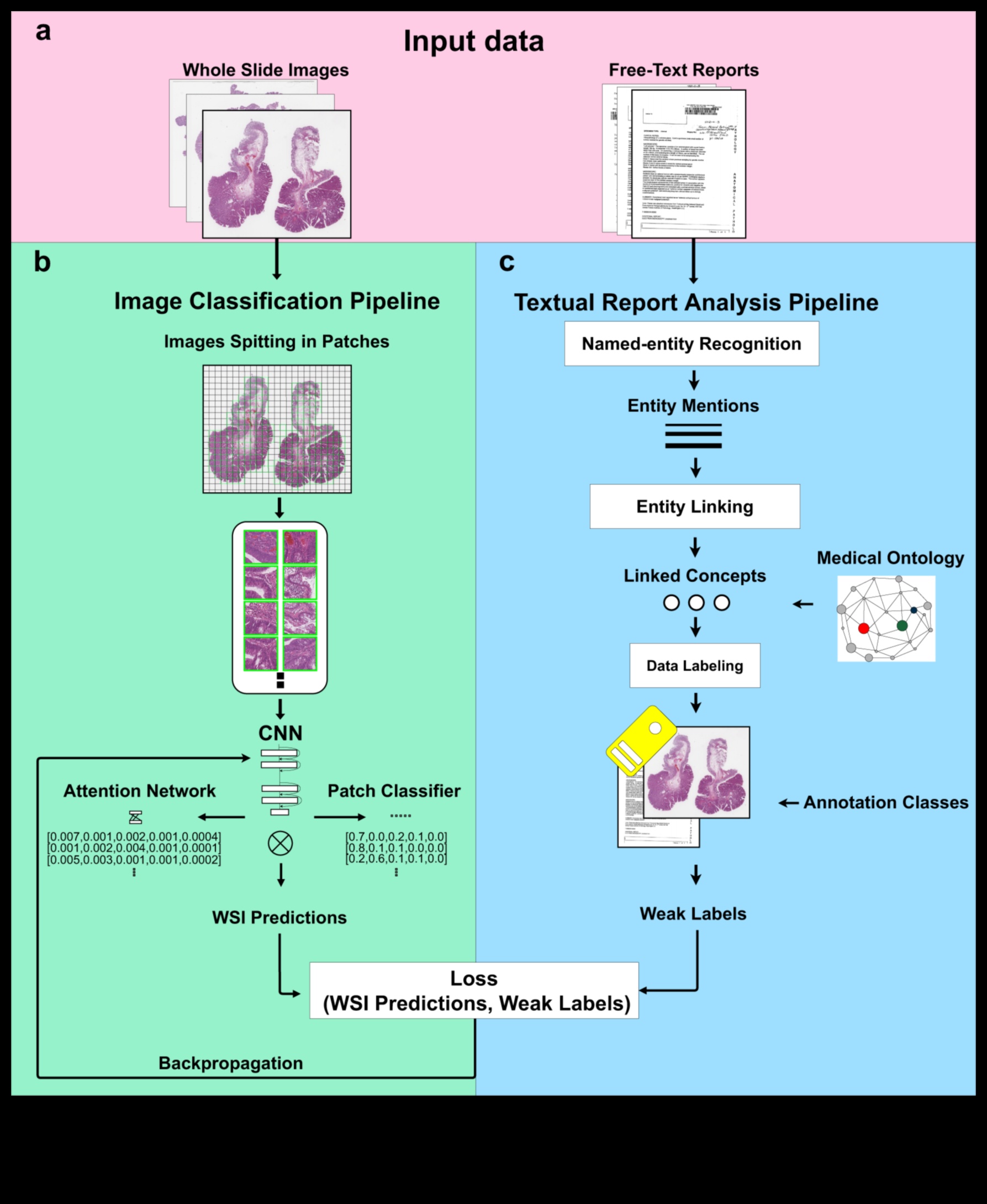 Unleashing Health Precision: The Digital Explorer's Toolkit in Design