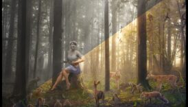 Η αξιοθέατο των σκηνών του δάσους 5 Mystical Woodlands: Forest Scenes and their Enchantments