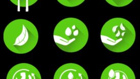 Πράσινη Αναγέννηση Ένα κάλεσμα για κίνηση για ένα βιώσιμο μακροπρόθεσμα 2 Πράσινη Αναγέννηση: Ανακαλύπτοντας ξανά την τέχνη της δημιουργίας βιώσιμων λύσεων