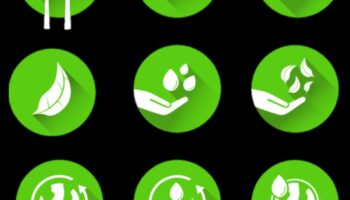 Πράσινη Αναγέννηση: Ανακαλύπτοντας ξανά την τέχνη της δημιουργίας βιώσιμων λύσεων