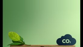 Designing Green Horizons: Trends and Triumphs in Creative Arts and Sustainable