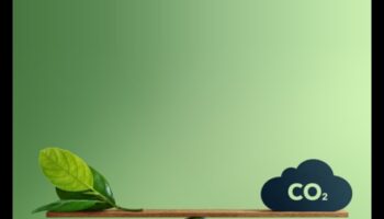 Designing Green Horizons: Trends and Triumphs in Creative Arts and Sustainable